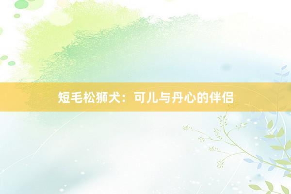 短毛松狮犬：可儿与丹心的伴侣
